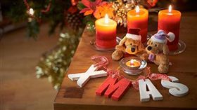 名家專用／幸福空間／聖誕歡樂趴更對味！居家快速佈置3技巧（勿用）