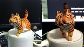 木老虎 圖翻攝自胡乃七 / SIEN HU臉書授權提供