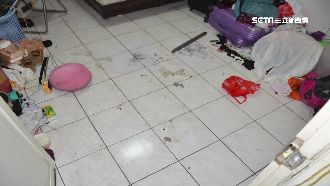 為8萬債務下毒手　火爆女打死同居友