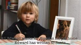 遺失,狗／翻攝自Richard Latter推特