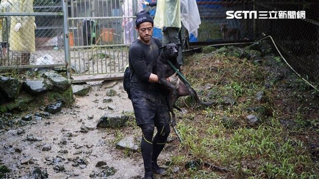 獨／不怕大雨濕身　男星幫浪浪搬新家