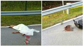 馬來西亞,死亡車禍,女駕駛屍首異處慘死（圖／翻攝自KL吹水站臉書）