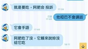 爆料公社,爆廢公社, 阿肥, 狗, 爸, 汪星人,LINE,家人,擔心,出遊,對話　圖／翻攝自爆廢公社臉書