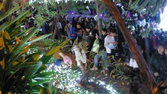 遊客踐踏草皮　柳川燈海遭「鬼剃頭」