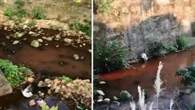 今（25）日桃園有一家物流公司的員工不慎打翻顏料，為了要清洗顏料，將橘紅色廢水排入溪流，導致忠義路的光華坑溪呈現橘紅色。對此，環保局表示，依法告發可處公司3萬元以上300萬元以下罰鍰。（圖／翻攝自陳雅倫臉書）