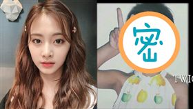TWICE 周子瑜 /翻攝自IG 推特