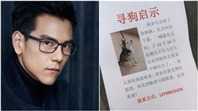 哈士奇、彭于晏　圖／翻攝自《成都商報》微博、臉書