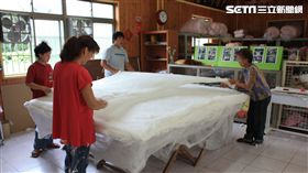 養蠶達人,涂泉明,蠶絲,詐騙,農委會,蠶絲被,天氣冷