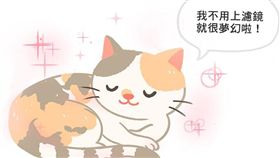 名家／毛起來／粉彩系三花貓