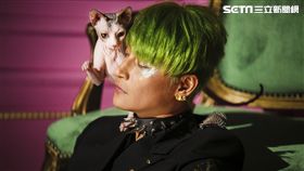 陳志朋（圖／誠利千代提供）