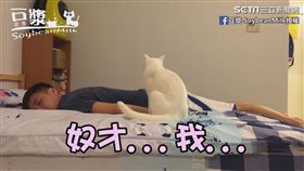 《豆漿-SoybeanMilk授權》