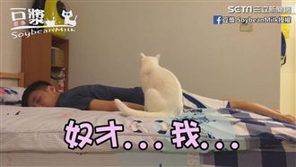 主人裝死測反應　下一秒讓他心寒