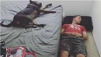 床被狗狗佔領…飼主只好無奈睡床下