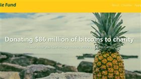 虛擬貨幣,比特幣,bitcoin,富翁,慈善機構,捐錢,善事（圖／翻攝自PineappleFund官網）https://pineapplefund.org/
