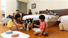 東森山林,度假酒店,旅遊,生活,毛小孩,住宿,金牌好棧,桃園,住宿　圖／東森山林渡假酒店提供