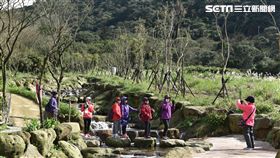 元旦,跨年,連假,遊樂場,景點,陽明山,大地工程處