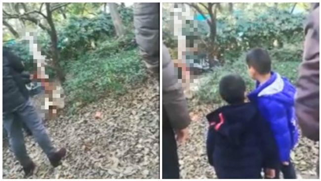 狠男公園剝狗皮　圍觀童：牠不聽話…