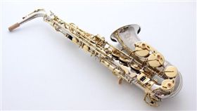 薩克斯風,樂器,日本,裸體(tarashare)