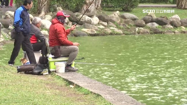 內湖的湖在哪？在地人揭密：跟水無關