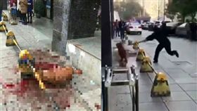 大陸湖南長沙市警察虐打黃金獵犬／微博