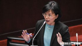 民進黨立委蘇巧慧 圖／記者林敬旻攝