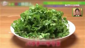 整盆香菜端著吃! 日本人瘋吃