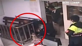 男偷車躲債被逮　一心只掛念愛犬平安