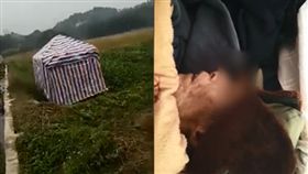 忌諱長輩在家病逝，竟把阿公丟農田等死。（圖／翻攝澎湃新聞）