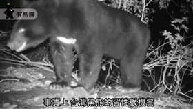 台灣黑熊,蜂蜜／翻攝東部臺灣黑熊教育館臉書