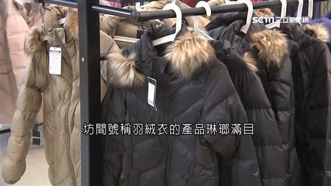 抗寒頂級羽絨這樣看　最高級款式曝光