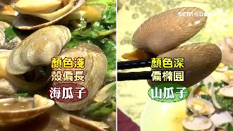 熱炒店揭密！山瓜子成海瓜子缺貨替身