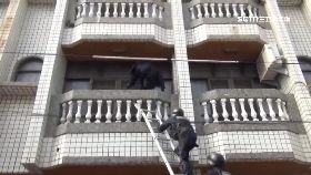 d架梯逮詐騙2400