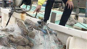 漁船出海捕魚　撈到多顆未爆彈（1）新竹縣一艘漁船4日上午從新豐鄉坡頭漁港出海捕魚，竟意外撈到多顆未爆彈，緊急通報軍方等相關單位，陸軍未爆彈處理小組趕往處理。（民眾提供）中央社記者魯鋼駿傳真　107年1月4日