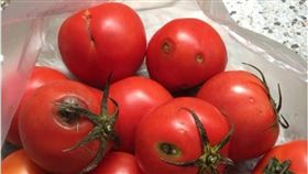 番茄,菜販,菜市場,爛番茄,爆怨公社,水果,退錢　圖／翻攝自爆怨公社