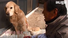 狗狗捐贈眼角膜，遺愛人間。（圖／翻攝自節目片段）