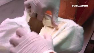 乳膠枕藏破億海洛因　「好鼻師」攔截
