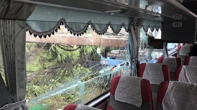 鐵架刺穿國光號車窗　日籍乘客遭劃傷