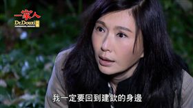 一家人,伊正,張玉嬿,陳霆