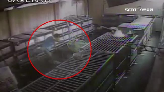 新北動保員捕蜂捉蛇　怒批政策犧牲品