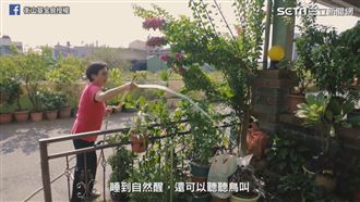 阿姨有嘻哈！Rap退休生活