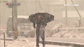 暴雪強風襲日本 氣象廳預警