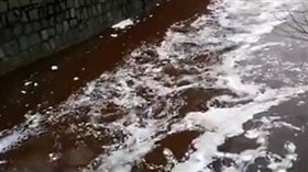 汙染,豬血,大陸,湖南,長沙,圭塘河,環保業,下水道　圖／翻攝自澎湃新聞