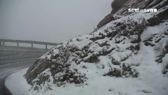 冰雪女王發威！合歡山終於白了頭