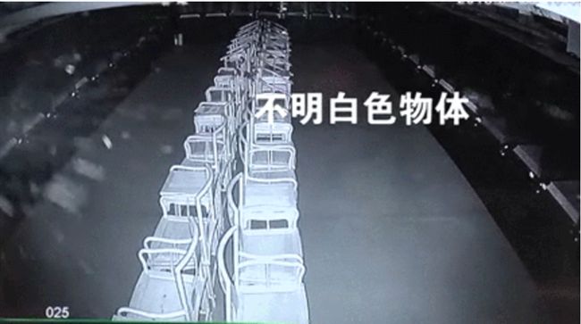 陸博物館驚見神祕白影　還會繞開人走