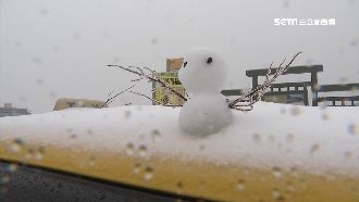 合歡山銀白世界　寒流下民眾趕賞雪
