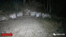 泰國,羅勇府,墳墓,樹林(微博)