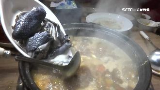 一熬8天！龜鹿烏骨雞湯濃肉嫩饕客讚