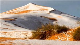 沙漠,下雪,積雪,撒哈拉沙漠,Ain Sefra,阿爾及利亞　圖／翻攝自express.co.uk