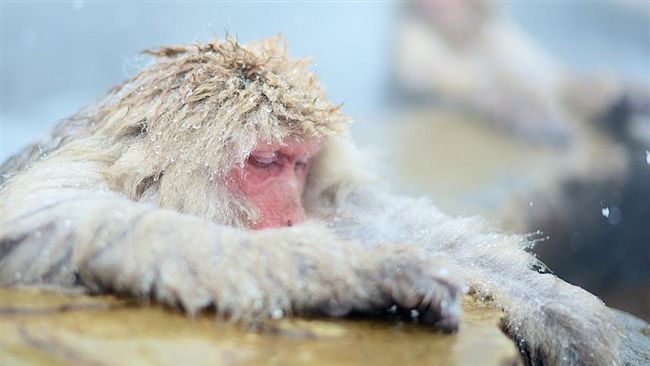 今晚北台漸降溫　明起探7℃全台極凍