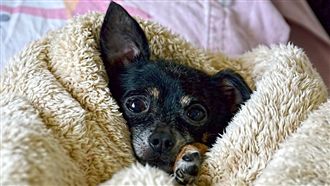 今越晚越凍！下波冷空氣　高山恐下雪